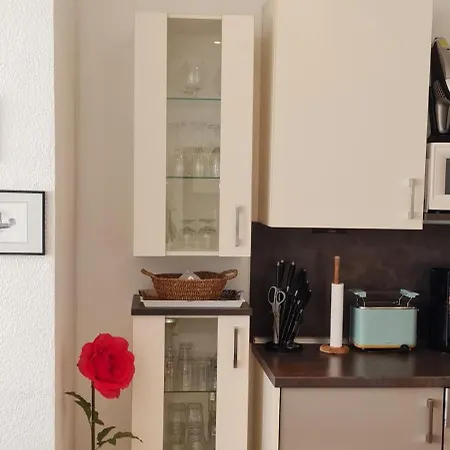 Haus Schwalbennest Sanddorn 公寓